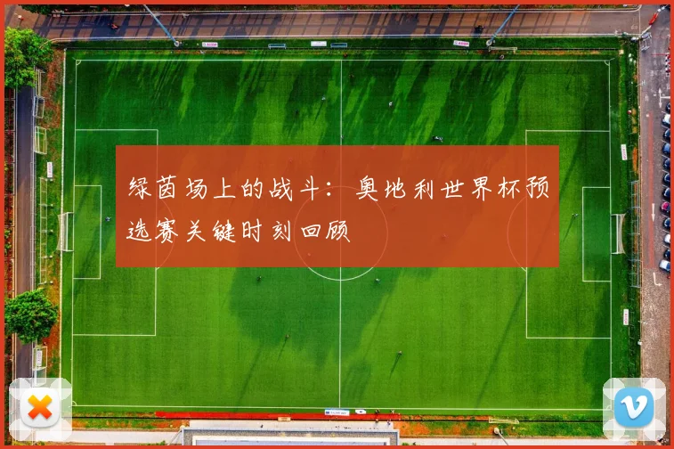 绿茵场上的战斗：奥地利世界杯预选赛关键时刻回顾