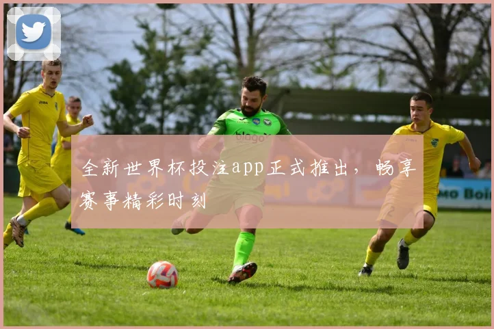全新世界杯投注app正式推出，畅享赛事精彩时刻