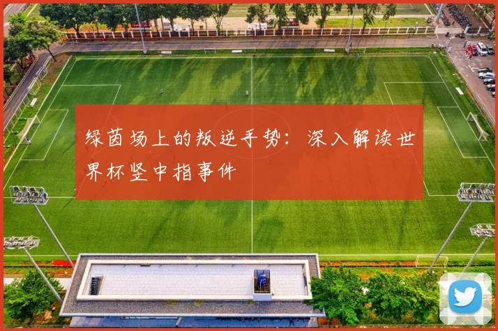 绿茵场上的叛逆手势：深入解读世界杯竖中指事件