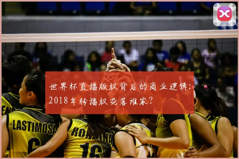 世界杯直播版权背后的商业逻辑：2018年转播权花落谁家？