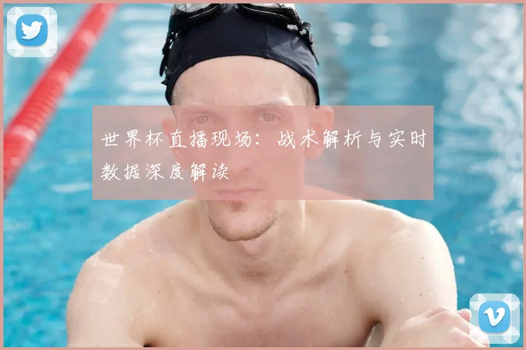 世界杯直播现场：战术解析与实时数据深度解读